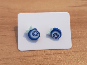 Earrings - Blue 001