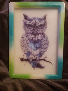 * Owl Tray